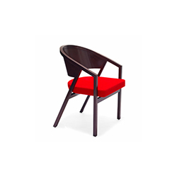 谢尔顿民德软垫扶手椅 Shelton Mindel & Associates  银河体育app官网 - 坐具